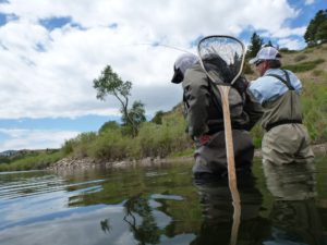 Fishing Trip Rates with Montana Adventures and Angling